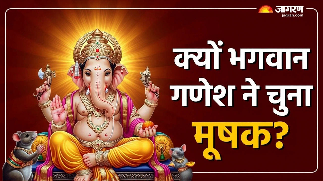 धार्मिक विद्वानों और समाज की प्रतिक्रिया